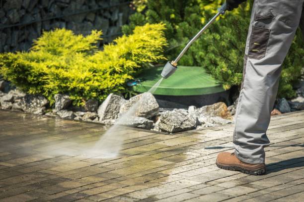 Animal Enclosure Cleaning in Belford, NJ